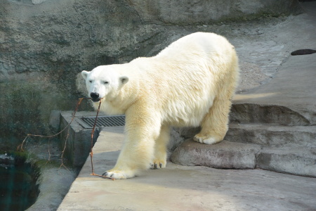f0344626_23533589.jpg