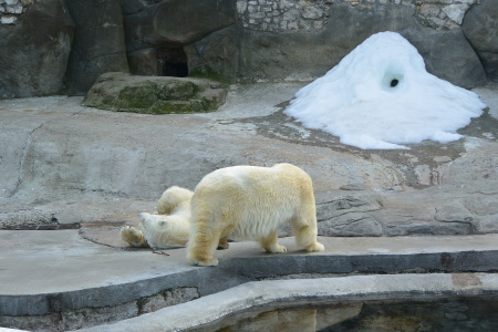 f0344626_23535679.jpg