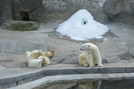 f0344626_23542789.jpg