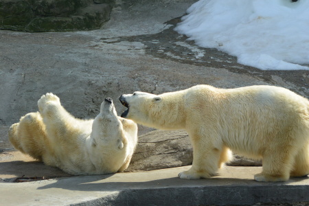 f0344626_23553526.jpg