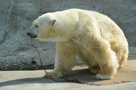 f0344626_23571313.jpg