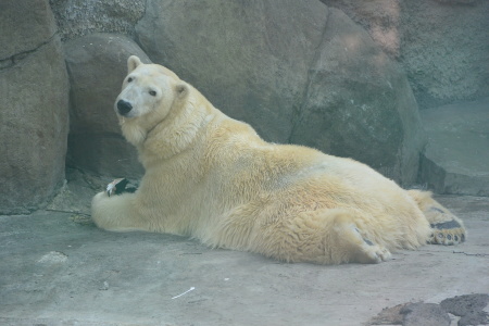 f0344626_23573765.jpg