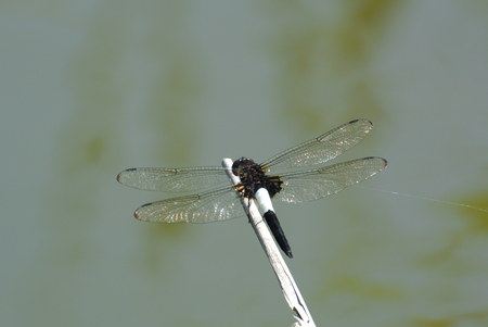 f0118332_23505542.jpg