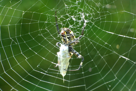 f0118332_23513349.jpg