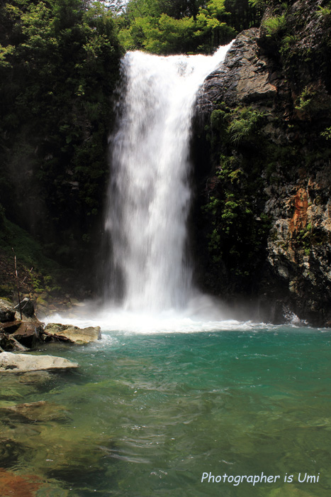 e0083238_156697.jpg