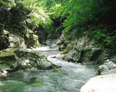 b0304662_14353292.jpg