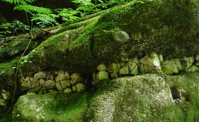 b0304662_1437828.jpg