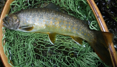b0304662_14395387.jpg