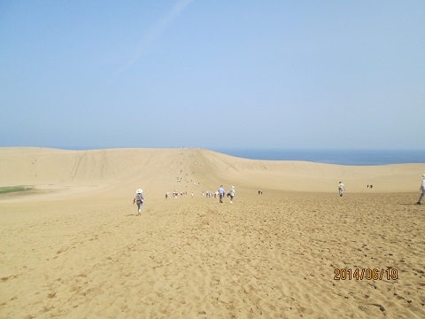 d0029363_3205980.jpg