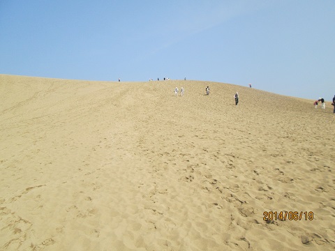 d0029363_3211516.jpg