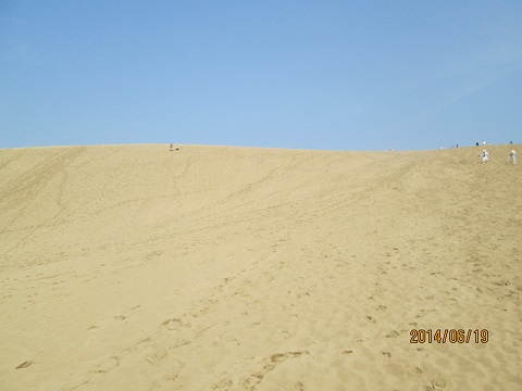 d0029363_321760.jpg