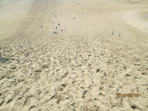 d0029363_323191.jpg