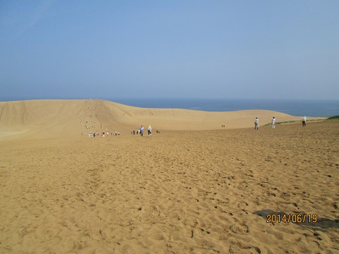 d0029363_3231958.jpg