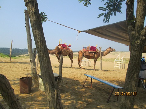 d0029363_3233744.jpg
