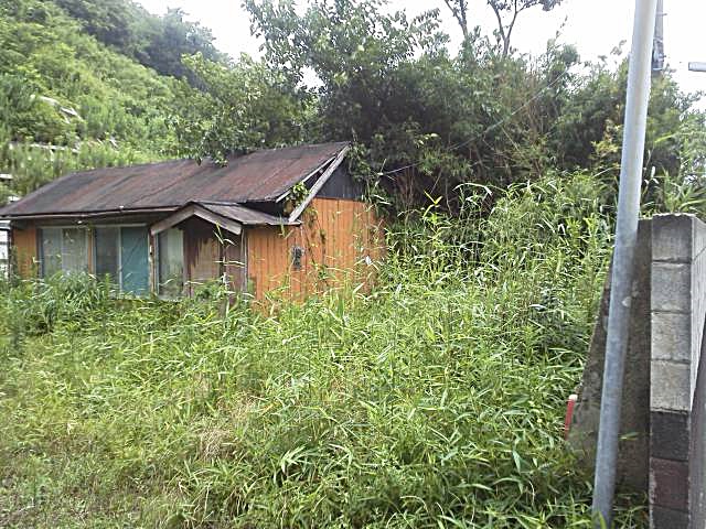 d0098363_545229.jpg