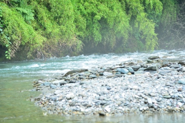 f0297764_218176.jpg