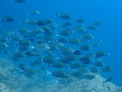 b0033573_17395050.jpg