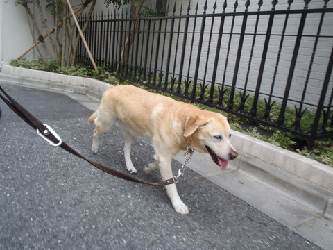 f0052277_1462857.jpg