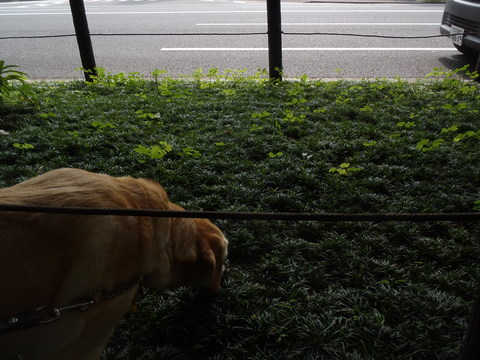 f0052277_1502634.jpg