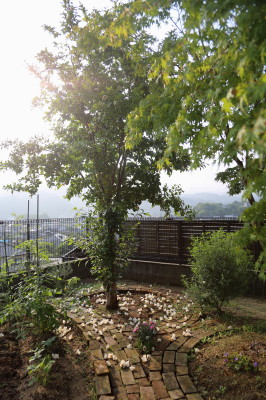 f0037378_16594041.jpg