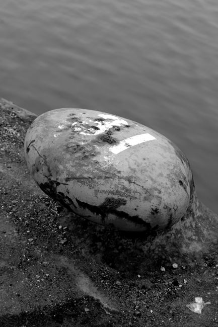e0326479_72564.jpg