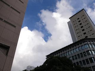 e0130185_211927.jpg