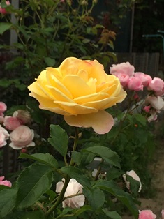 a0258087_910828.jpg