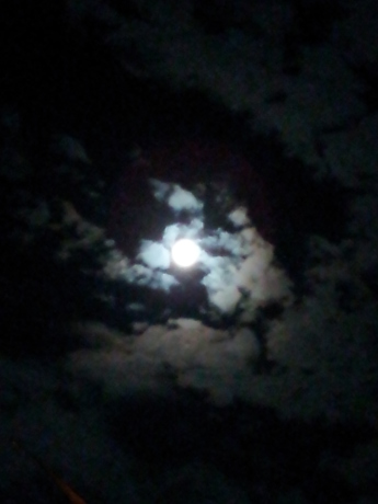 f0250403_00025257.jpg