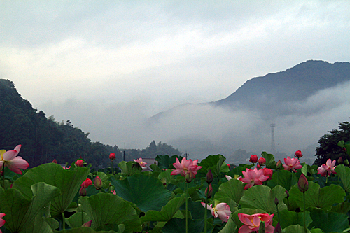 b0014607_1431084.jpg