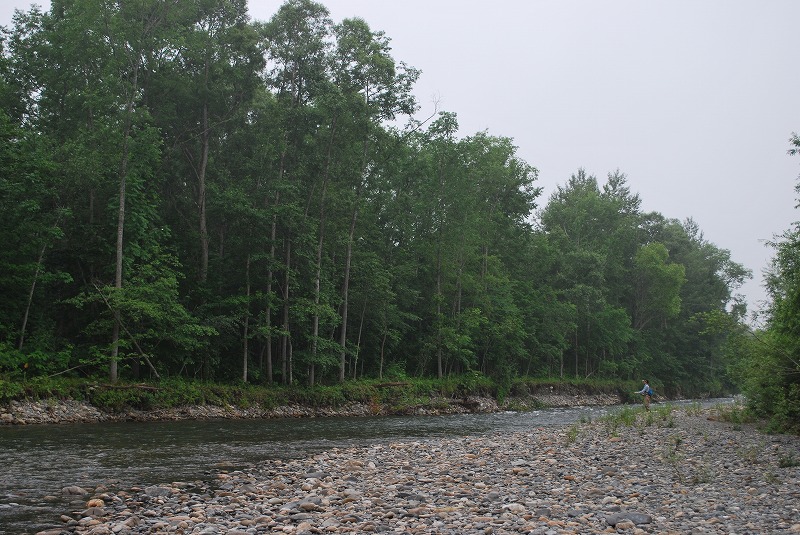 d0051707_21551379.jpg