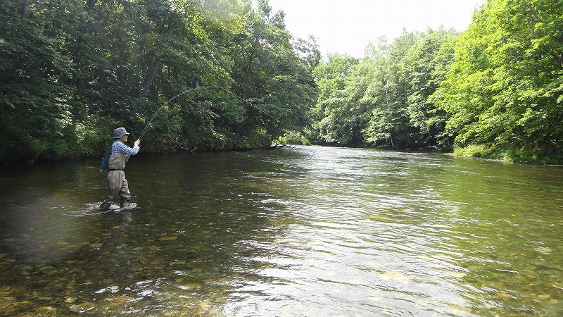 d0051707_21555107.jpg