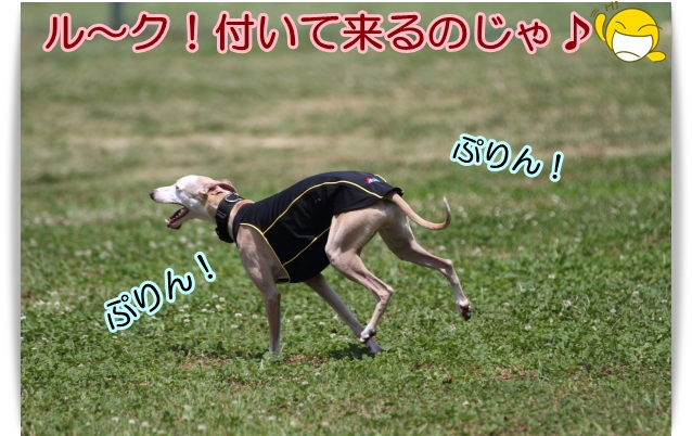 e0100007_21552341.jpg