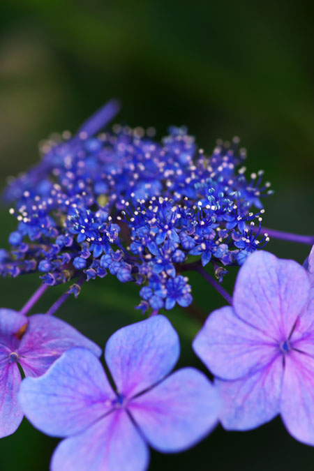 a0263109_15563441.jpg