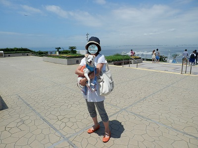 d0169340_2141534.jpg