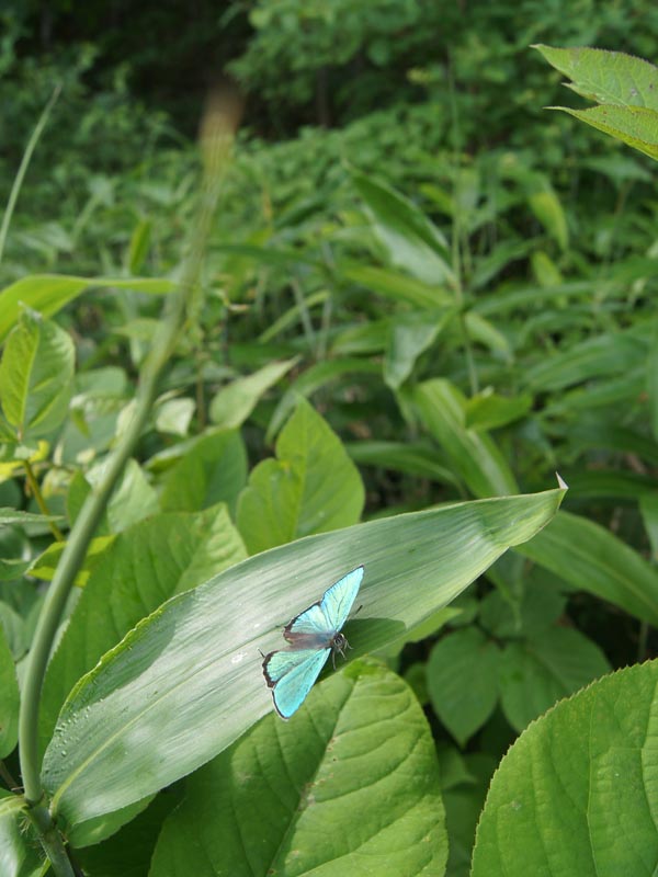 c0045352_22472228.jpg