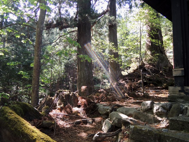 b0173754_04292772.jpg