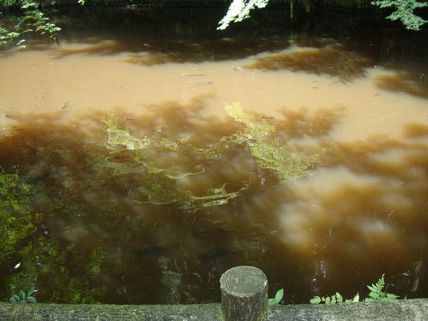 e0083155_12354960.jpg