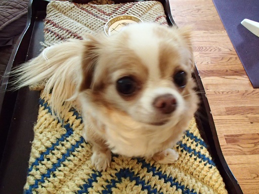 c0055857_355341.jpg