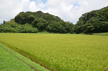 f0186462_2212875.jpg