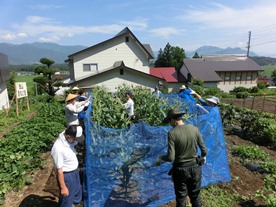 b0218664_13552449.jpg