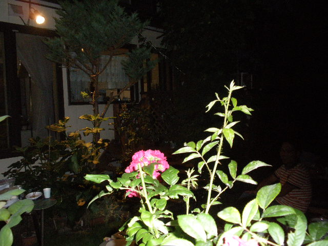 d0150967_21535147.jpg
