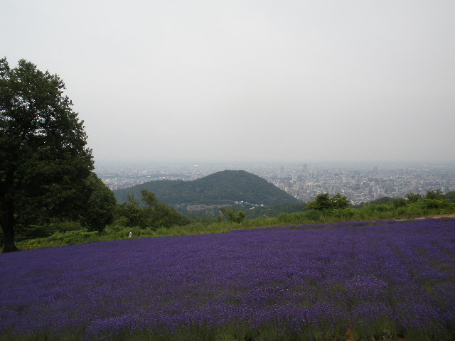 d0150967_2295124.jpg