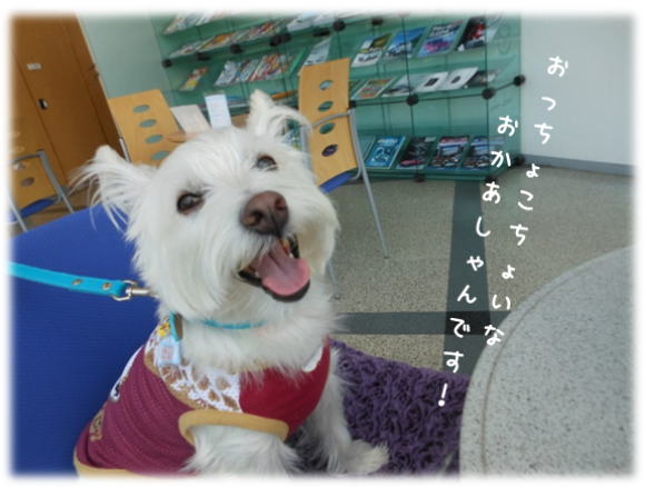 b0242873_00354991.png