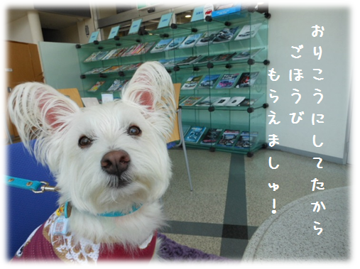 b0242873_00391416.png