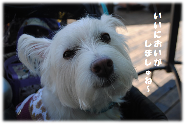 b0242873_00502064.png