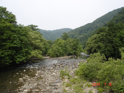 d0165378_19443022.jpg