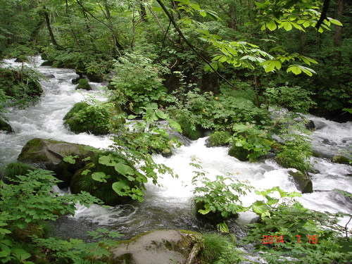 d0165378_19455851.jpg