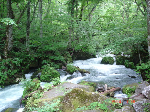 d0165378_19495150.jpg