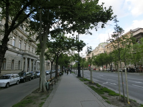 b0214184_15254222.jpg