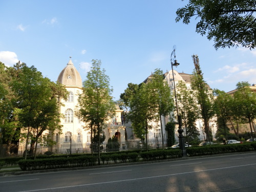 b0214184_15561756.jpg